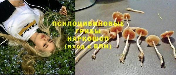 mdma Бородино