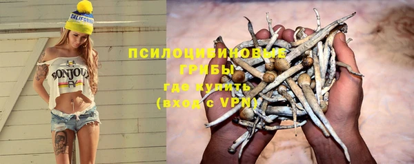 mdma Бородино