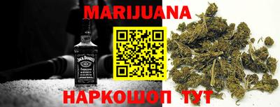 тгк Бийск