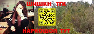 тгк Бийск