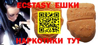 тгк Бийск