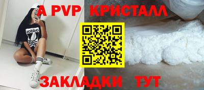 тгк Бийск